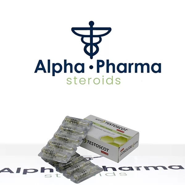 Testoscot (Scott-Edil Pharmacia Ltd) on alpha-pharma.net